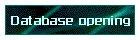 Database opening