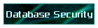 Database Security