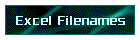 Excel Filenames