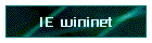 IE wininet