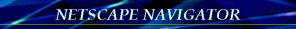 NETSCAPE NAVIGATOR
