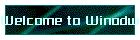Welcome to Winodws-Lose IT!